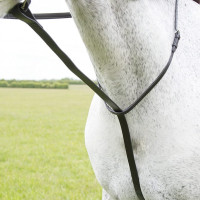 Martingala fissa Shires Velociti Gara Nero