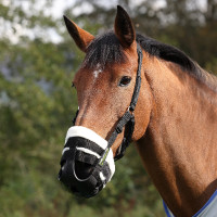 Museruola da pascolo AirFlow Shires FreeGraze Nero