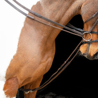 Redini tedesche elastiche Shires Velociti Gara Marrone