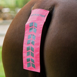 Cinghia di coda Shires Equi-Flector® Rosa brillante
