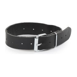 Cinghia di ricambio Shires Greenguard Nero