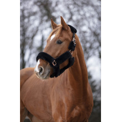 Capestro Equithème Teddy rosa oro Capestro Equithème Teddy rosa oro
