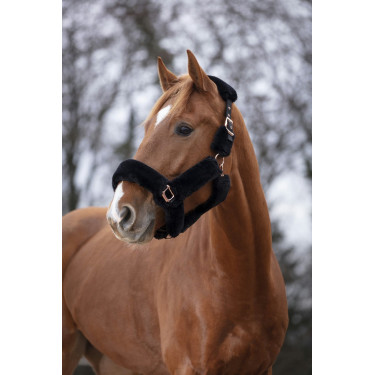 Capestro Equithème Teddy rosa oro Capestro Equithème Teddy rosa oro