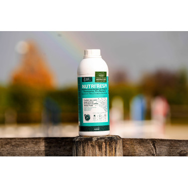 Integratore respiratorio cavalli Nutri’Respir Ravene Integratore respiratorio cavalli Nutri’Respir Ravene