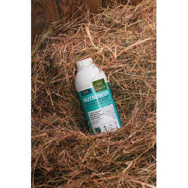 Integratore respiratorio cavalli Nutri’Respir Ravene Integratore respiratorio cavalli Nutri’Respir Ravene