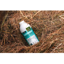 Integratore respiratorio cavalli Nutri’Respir Ravene Integratore respiratorio cavalli Nutri’Respir Ravene