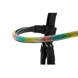 Briglia Norton PRO- EK-Rainbow
