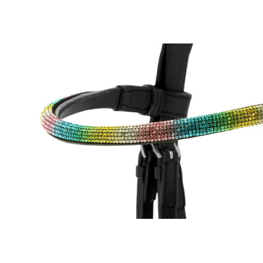 Briglia Norton PRO- EK-Rainbow