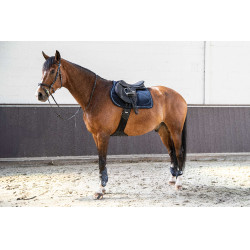 Sottosella Lamicell V22 Picasso