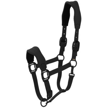 Capezza Lamicell V22