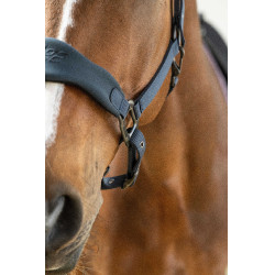 Capezza Lamicell V22