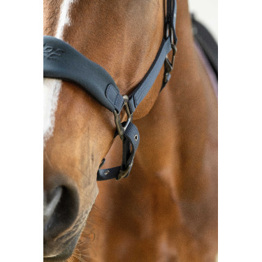Capezza Lamicell V22