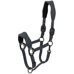 Capezza Lamicell V22