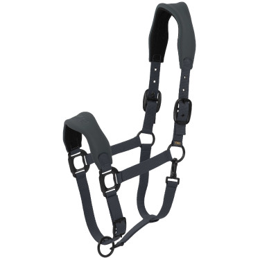 Capezza Lamicell V22