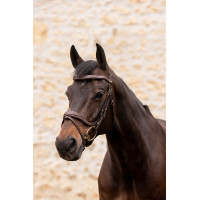 Briglia K by Equithème K-Kontour