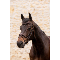 Briglia K by Equithème K-Kontour