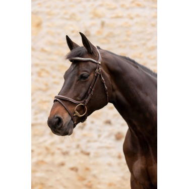 Briglia K by Equithème K-Kapture Marrone