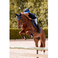 Briglia K by Equithème K-Kapture Marrone