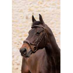 Briglia K by EQUITHÈME - K-KADENCE Briglia K by EQUITHÈME - K-KADENCE