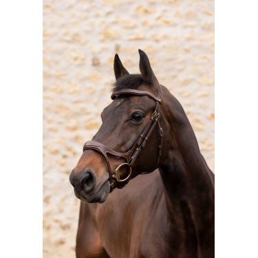 Briglia K by EQUITHÈME - K-KADENCE Briglia K by EQUITHÈME - K-KADENCE
