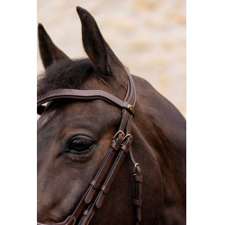 Briglia K by EQUITHÈME - K-KADENCE Briglia K by EQUITHÈME - K-KADENCE