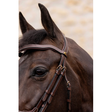 Briglia K by EQUITHÈME - K-KADENCE Briglia K by EQUITHÈME - K-KADENCE