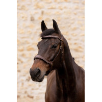 Briglia K by Equithème K-Konnect