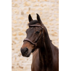 Briglia K by Equithème K-Konnect