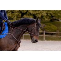 Briglia K by Equithème K-Konnect