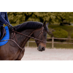 Briglia K by Equithème K-Konnect