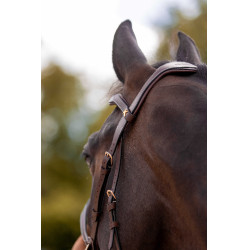 Briglia K by Equithème K-Konnect