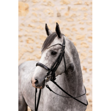 Redini K by Equithème K-Link