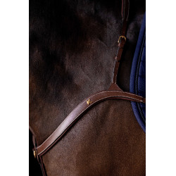 Pettorale a 3 punti K by Equithème K-Kontour