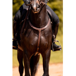 Pettorale a 3 punti K by Equithème K-Kontour