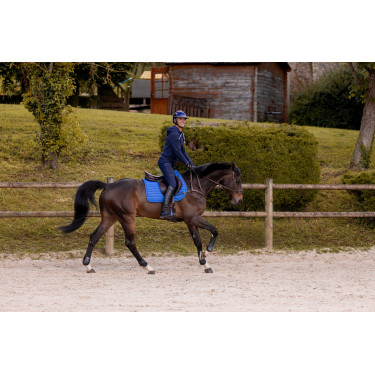 Sottosella K by Equithème K-Triton Blu reale