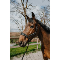 Capestro + lunghina Equithème Coco Nero