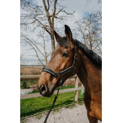 Capestro + lunghina Equithème Coco