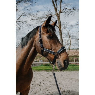 Capestro + lunghina Equithème Coco