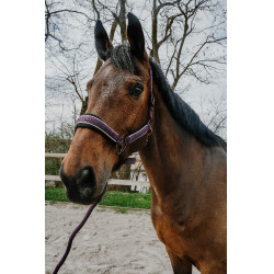 Capestro + lunghina Equithème Coco Capestro + lunghina Equithème Coco