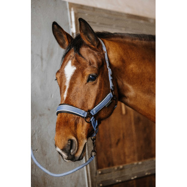 Capestro + lunghina Equithème Coco Capestro + lunghina Equithème Coco