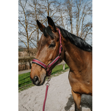 Capestro + lunghina Equithème Coco