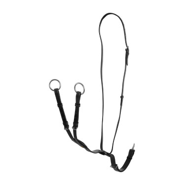 Martingala a collier cuoio fibbie regolabili Nero
