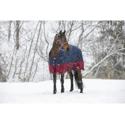 Coperta Equithème Tyrex 1200 D Nero / lampone