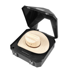 Box porta cappelli e stivali 45,5X46,5X32 Nero
