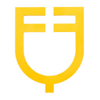 Logo Equestro Prespaziato DA Muro Giallo