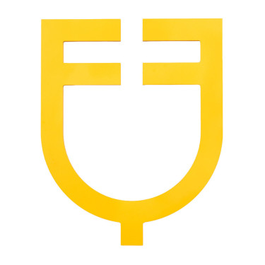 Logo Equestro Prespaziato DA Muro Giallo