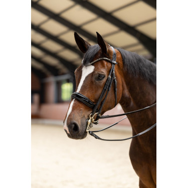 Briglia Glamourdale Weymouth Horze Nero