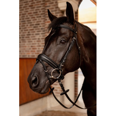 Briglia da dressage Horze Eternal Gaze Nero