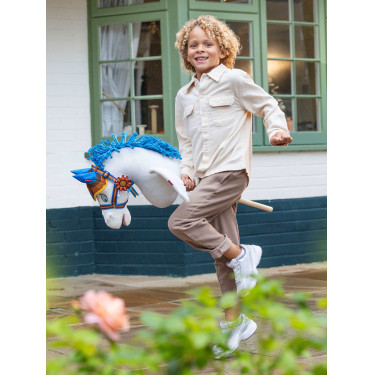 Cavalluccio a bastone Pegaso Disney — Equitazione bimbi Cavalluccio a bastone Pegaso Disney — Equitazione bimbi