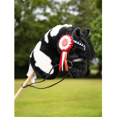 Coccarde equitazione LeMieux per Hobby Horse – Set 3